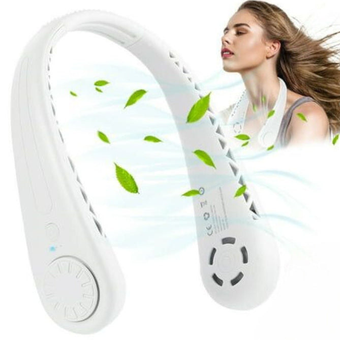 ventilator portabil de gat