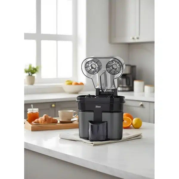 Zilan juicer