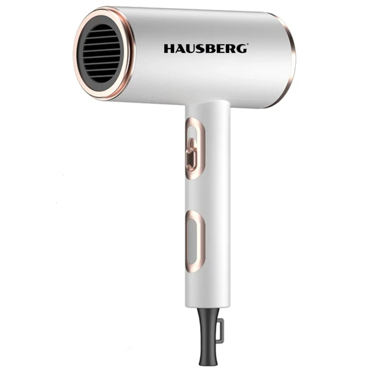 feon hausberg 2200W coafura