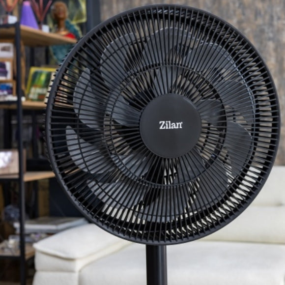 frumusetea ventilatorului zilan