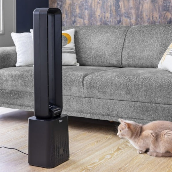 racitor aer impreuna cu pisica